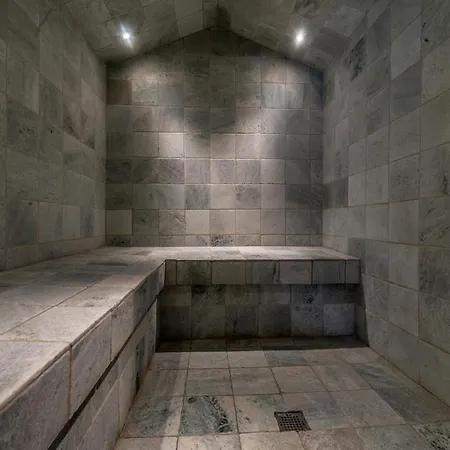 Zenith Alpine - Chalet * زيرمات